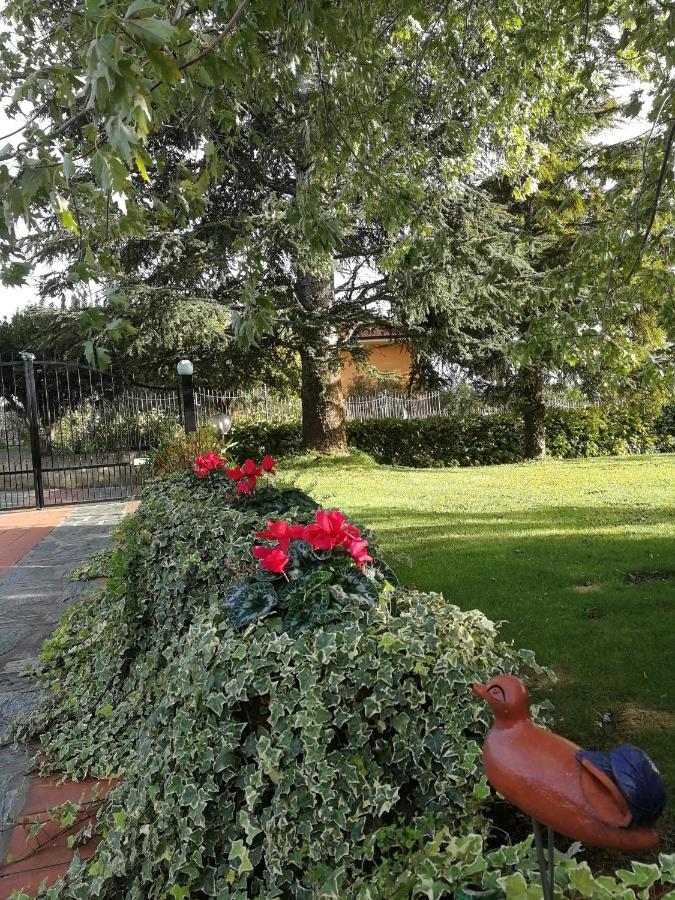 Independent Apartment With A Fabulous Patio - Casa Penny Cisano sul Neva Buitenkant foto