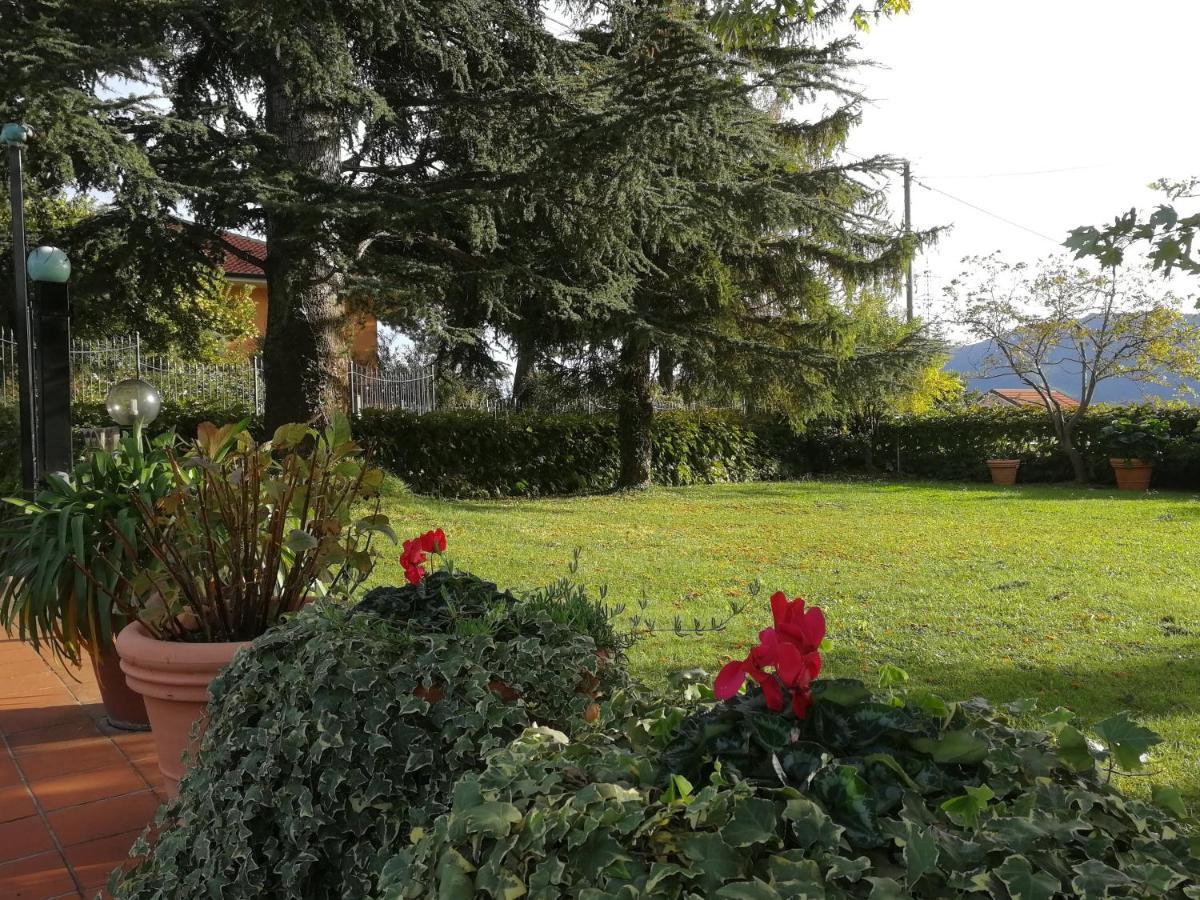 Independent Apartment With A Fabulous Patio - Casa Penny Cisano sul Neva Buitenkant foto